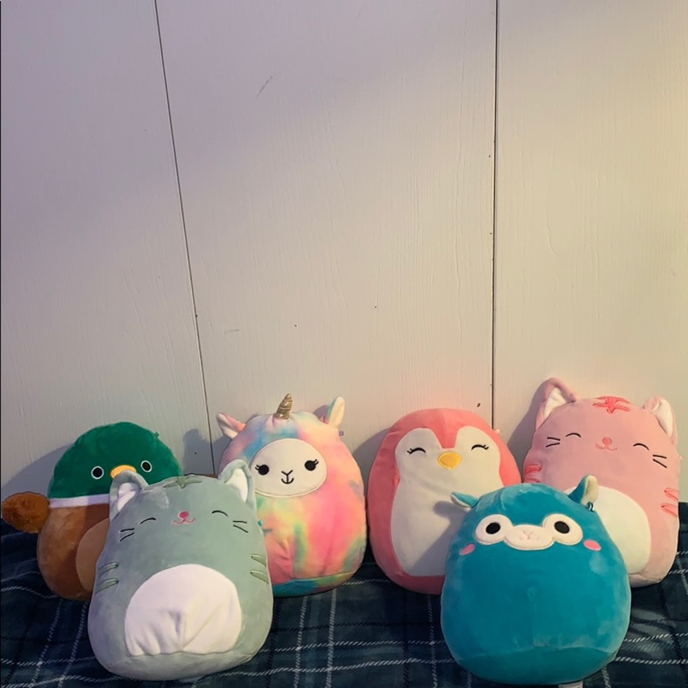Squishmallow bundle!
